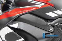 Carbon Fiber Left Side Frame Cover by Ilmberger Carbon