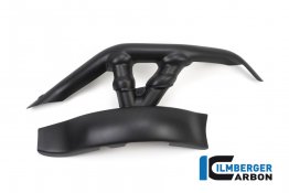 Carbon Fiber Swingarm Cover by Ilmberger Carbon