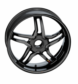 Carbon Fiber Rapid Tek Rear Wheel by BST