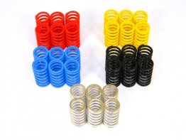 Dry Clutch 6 Piece Spring Kit by Ducabike