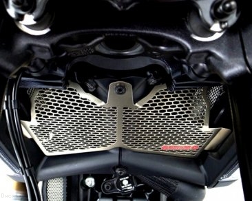 Titanium Radiator Guard by Motocorse Ducati / Diavel / 2012
