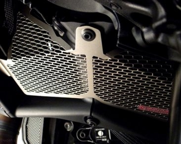 Titanium Radiator Guard by Motocorse Ducati / Diavel / 2013