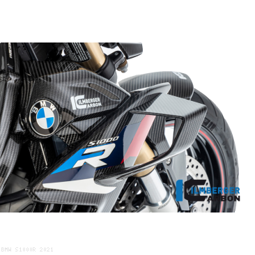  BMW / S1000R / 2021