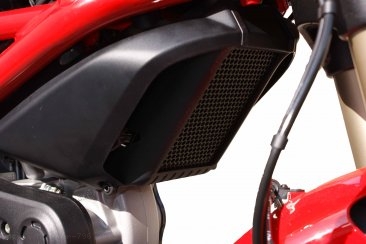 Oil Cooler Guard by Evotech Performance Ducati / Monster 796 / 2011