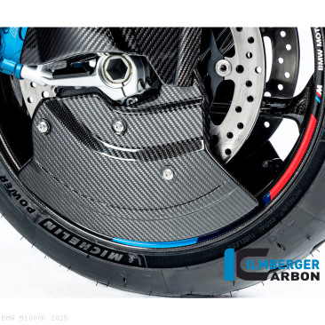  BMW / M1000R / 2025