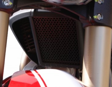 Oil Cooler Guard by Evotech Performance Ducati / Monster 796 / 2011