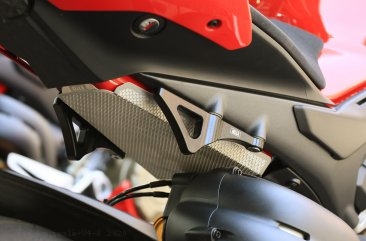 Tie Down Hooks by AELLA Ducati / Panigale V4 R / 2020