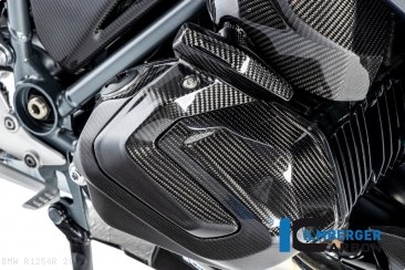 Carbon Fiber Rocker Cover by Ilmberger Carbon BMW / R1250R / 2021