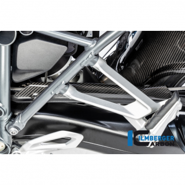 Carbon Fiber Brake Pipe Cover by Ilmberger Carbon