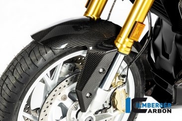 Carbon Fiber Front Fender by Ilmberger Carbon BMW / R1250R / 2021