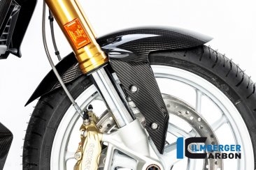 Carbon Fiber Front Fender by Ilmberger Carbon BMW / R1250RS / 2020