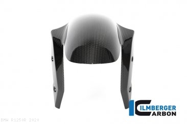 Carbon Fiber Front Fender by Ilmberger Carbon BMW / R1250R / 2020