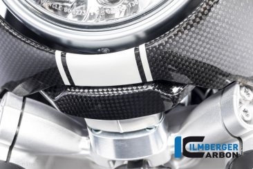 Carbon Fiber Front Fairing Holder Kit by Ilmberger Carbon BMW / R nineT / 2014