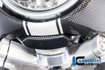 Carbon Fiber Front Fairing Holder Kit by Ilmberger Carbon BMW / R nineT / 2015