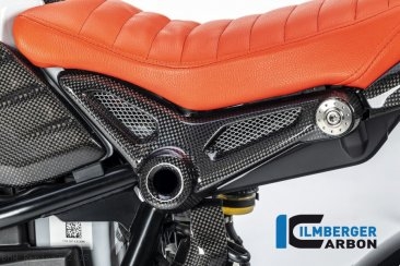 Carbon Fiber Frame Cover by Ilmberger Carbon BMW / R nineT / 2015