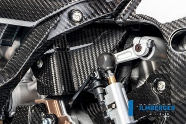 Carbon Fiber Wire Harness Cover by Ilmberger Carbon BMW / M1000R / 2025