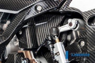 Carbon Fiber Wire Harness Cover by Ilmberger Carbon BMW / S1000R / 2022