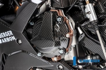 Carbon Fiber Alternator Cover by Ilmberger Carbon BMW / S1000R / 2021