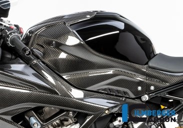 Carbon Fiber RACING VERSION Tail and Tank Set by Ilmberger Carbon BMW / S1000RR / 2022