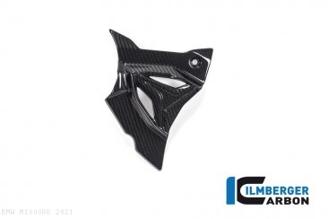 Carbon Fiber Sprocket Cover by Ilmberger Carbon BMW / M1000RR / 2021