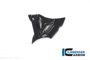 Carbon Fiber Sprocket Cover by Ilmberger Carbon BMW / M1000R / 2023