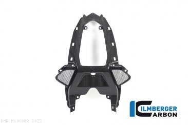 Carbon Fiber 2 Person Rear Seat Upper Tail by Ilmberger Carbon BMW / M1000RR / 2022