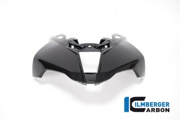 Carbon Fiber Front Fairing by Ilmberger Carbon