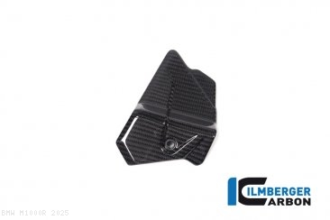Carbon Fiber Wire Harness Cover by Ilmberger Carbon BMW / M1000R / 2025