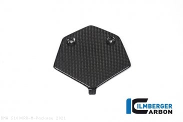 Carbon Fiber RACING VERSION Tail and Tank Set by Ilmberger Carbon BMW / S1000RR M Package / 2021