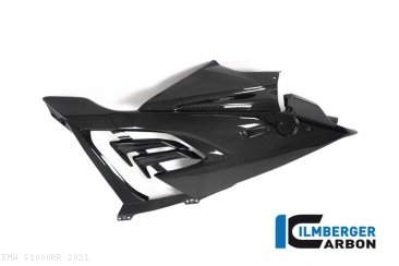 Carbon Fiber RACING VERSION Nose and Fairing Body Kit by Ilmberger Carbon BMW / S1000RR / 2021