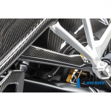 Carbon Fiber Brake Pipe Cover by Ilmberger Carbon