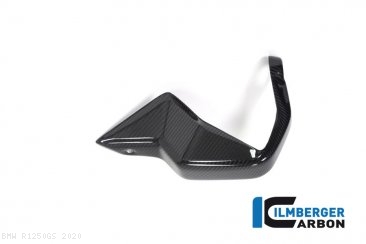 Carbon Fiber Handguard by Ilmberger Carbon BMW / R1250GS / 2020