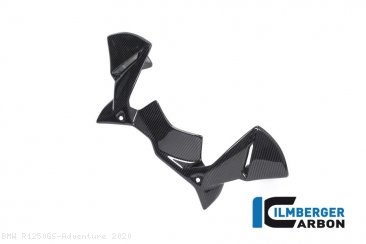 Carbon Fiber Instrument Panel Wind Guard by Ilmberger Carbon BMW / R1250GS Adventure / 2020