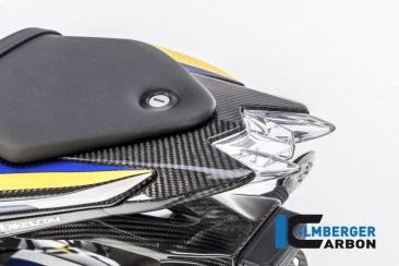 Carbon Fiber Upper Rear Tail Light Center Surround Piece by Ilmberger Carbon BMW / S1000R / 2014