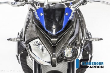 Carbon Fiber Front Fairing by Ilmberger Carbon BMW / S1000R / 2013