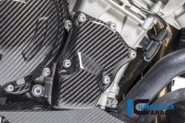 Carbon Fiber Ignition Rotor Cover by Ilmberger Carbon BMW / S1000RR / 2010