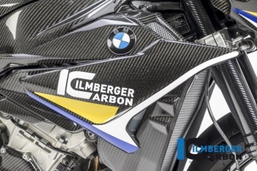 Carbon Fiber Right Side Fairing Panel by Ilmberger Carbon BMW / S1000R / 2016