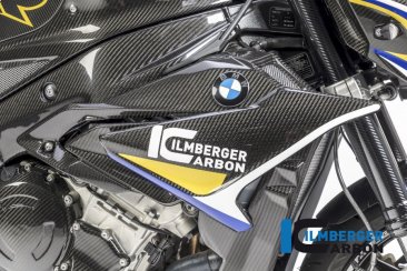 Carbon Fiber Right Side Fairing Panel by Ilmberger Carbon