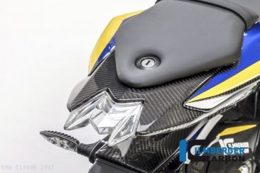 Carbon Fiber Upper Rear Tail Light Center Surround Piece by Ilmberger Carbon BMW / S1000R / 2017