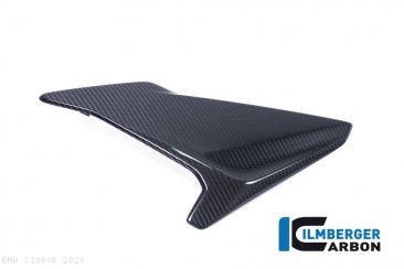Carbon Fiber Left Side Fairing Panel by Ilmberger Carbon BMW / S1000R / 2020