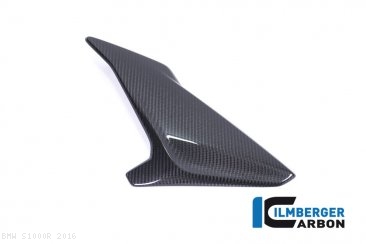 Carbon Fiber Left Side Fairing Panel by Ilmberger Carbon BMW / S1000R / 2016