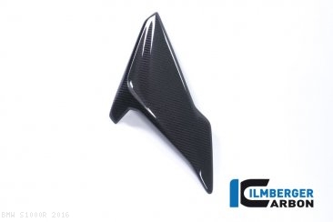 Carbon Fiber Right Side Fairing Panel by Ilmberger Carbon BMW / S1000R / 2016