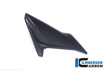 Carbon Fiber Right Side Fairing Panel by Ilmberger Carbon BMW / S1000R / 2016