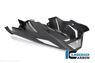 Carbon Fiber Bellpan by Ilmberger Carbon BMW / S1000R / 2018