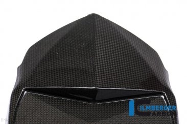 Carbon Fiber Rear Undertail Tray by Ilmberger Carbon BMW / S1000RR / 2016