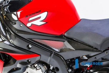 Carbon Fiber Left Side Tank Panel by Ilmberger Carbon BMW / S1000R / 2017