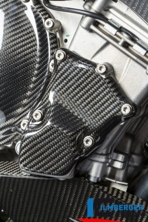 Carbon Fiber Ignition Rotor Cover by Ilmberger Carbon BMW / S1000R / 2014