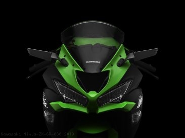  Kawasaki / Ninja ZX-6R 636 / 2019