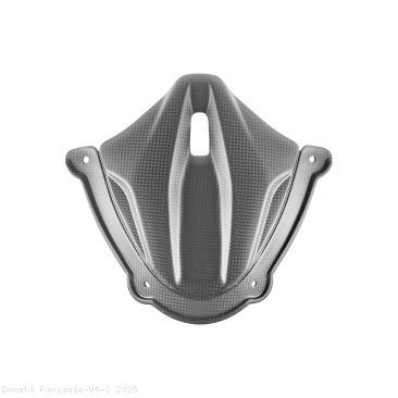  Ducati / Panigale V4 S / 2025