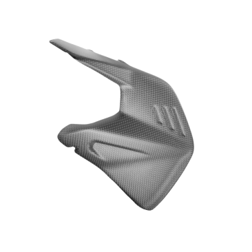 Carbon Fiber Swingarm Protector by DBK Special Parts